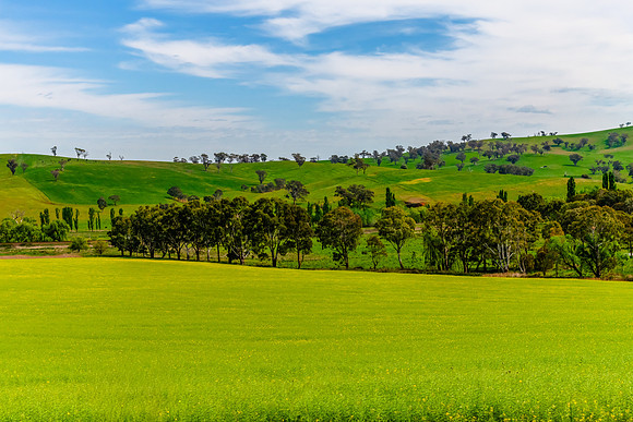 Riverina Countryside in Spring – Lush Fields Under Clouded Ski