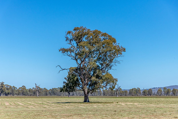 Rural countryside around Glenrowan in Victoria