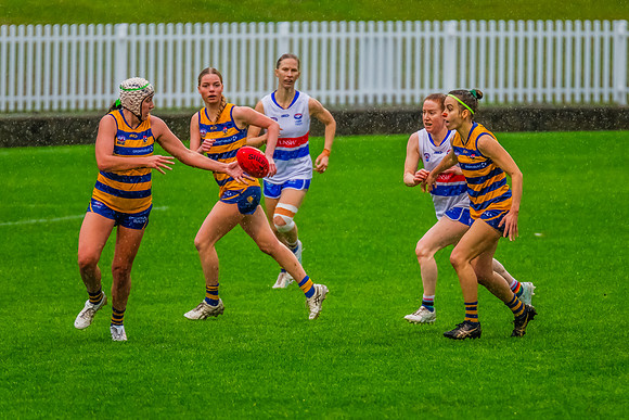 Rd 8 WPD - UNSW-ES v Sydney Uni - 1 June 2024