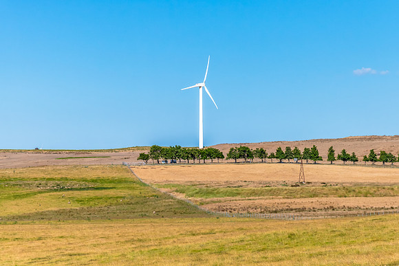 Summer's fields and wind turbines around Crookwell