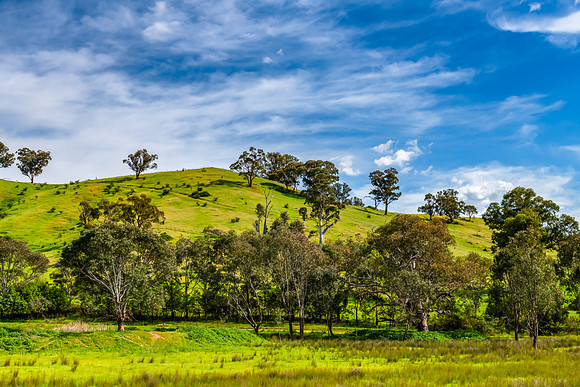 Riverina Countryside in Spring – Lush Fields Under Clouded Ski