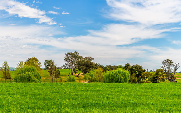 Riverina Countryside in Spring – Lush Fields Under Clouded Ski