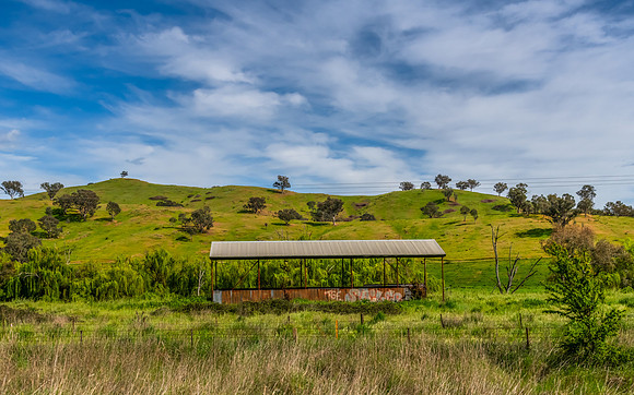 Hills, Gum Trees and Green Fields Under Clouded Skies