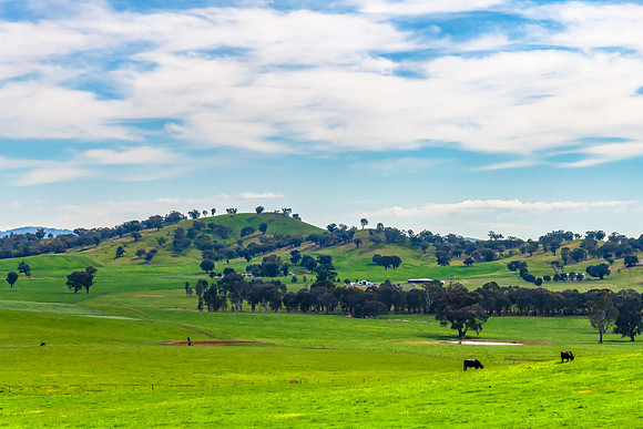 Riverina Countryside in Spring – Lush Fields Under Clouded Ski