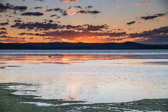 Sunset Light over the Lake