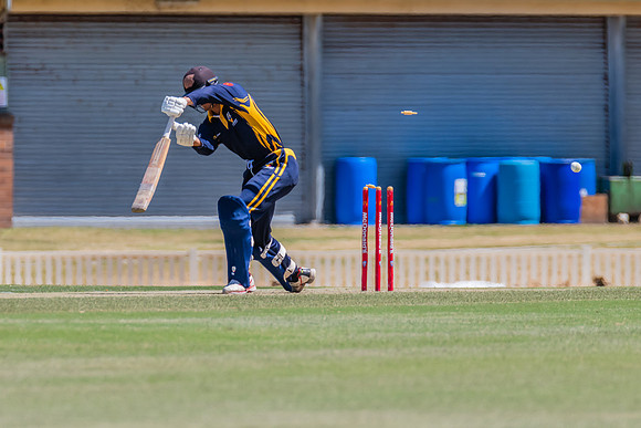 2022-2023 NSW Country Cricket Championships Final