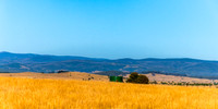 Dry Summer Countryside in the Southern Tablelands