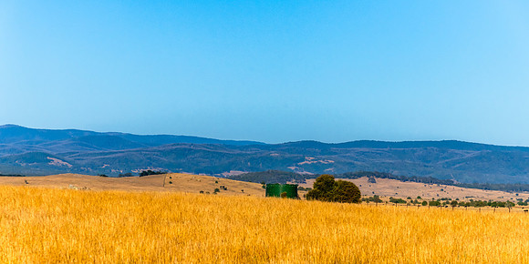 Dry Summer Countryside in the Southern Tablelands