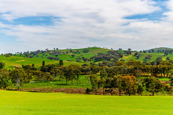 Riverina Countryside in Spring – Lush Fields Under Clouded Ski