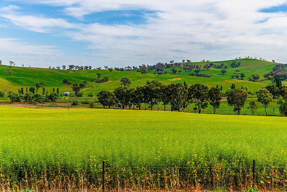 Riverina Countryside in Spring – Lush Fields Under Clouded Ski