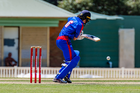 2022-2023 NSW Country Cricket Championships Final