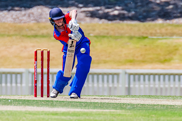2022-2023 NSW Country Cricket Championships Final
