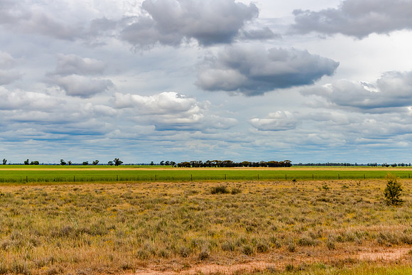 Clouds over the golden pastures in the Riverina countryside