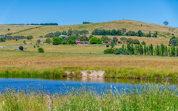 Summer Countryside Scenery with Clear Blue Morning Sky