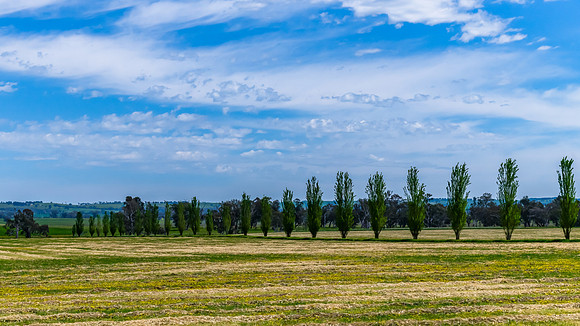 Riverina Countryside in Spring – Lush Fields Under Clouded Ski