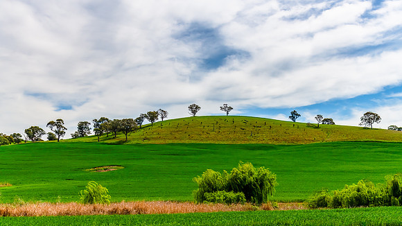 Riverina Countryside in Spring – Lush Fields Under Clouded Ski