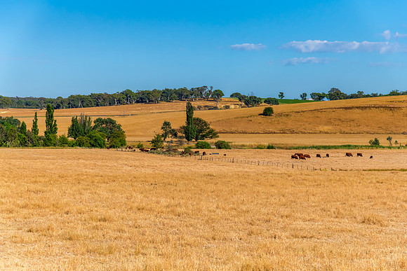 Goulburn Region - Explore the Picturesque Countryside of NSW