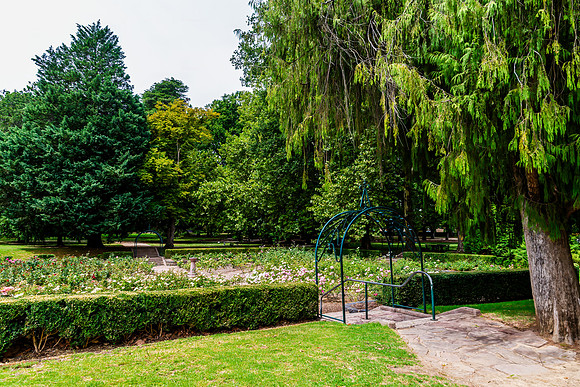 A Summer's day at Cook Park
