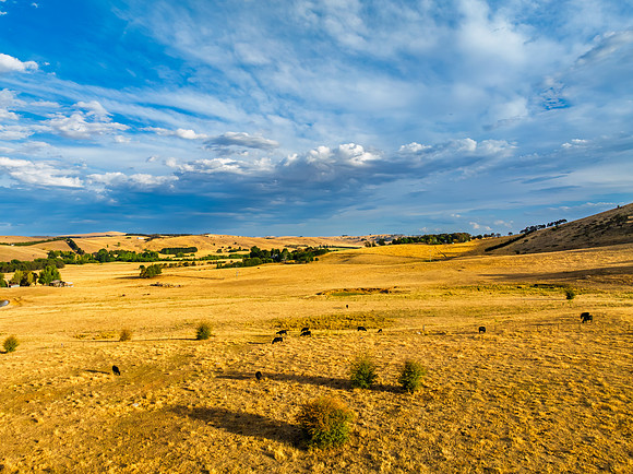 Cloud‑Laced Skies at Golden Hour Over Farmland