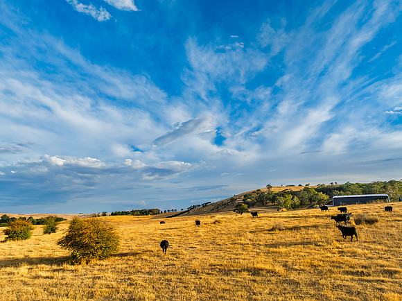 Cloud‑Laced Skies at Golden Hour Over Farmland
