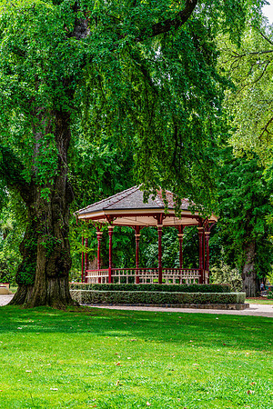 A Summer's day at Cook Park