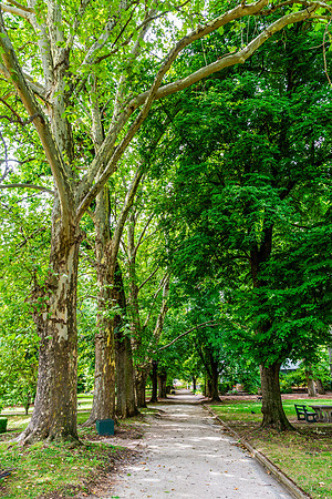 A Summer's day at Cook Park