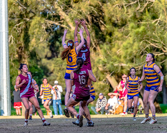 Rd 17 WPD - Manly Warringah v Sydney Uni - 16 August 2025