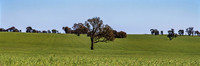 Scenic countryside around Lake Rowan in Victoria