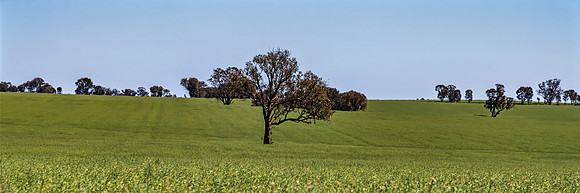 Scenic countryside around Lake Rowan in Victoria