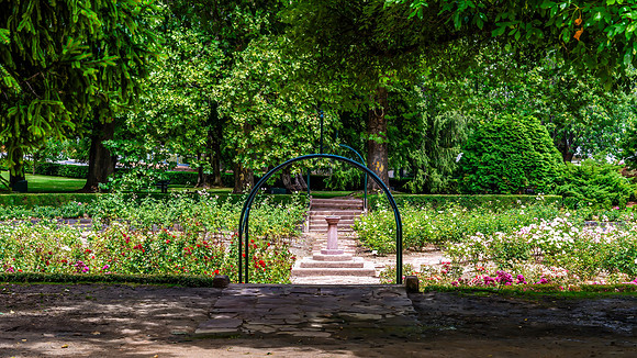 The Rose Garden at Cook Park