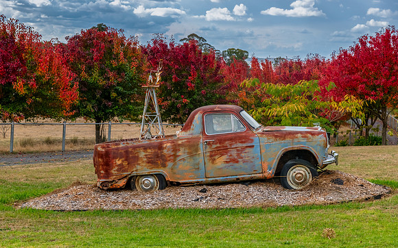 Autumn foliage on the tree lined rural driveway with rusted ute