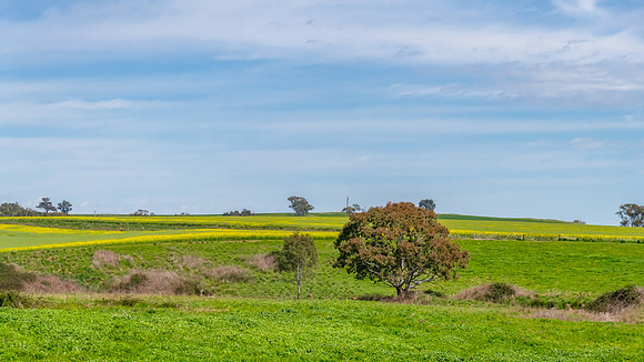 Riverina Countryside in Spring – Lush Fields Under Clouded Ski