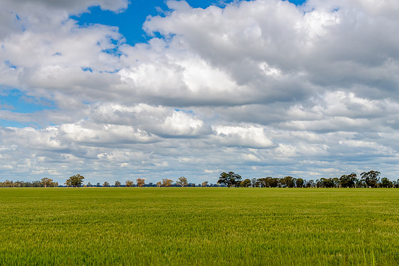 Clouds over the green pastures in the Riverina countryside