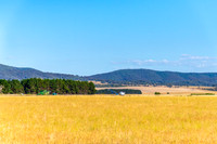 Goulburn Region - Explore the Picturesque Countryside of NSW