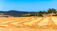 Goulburn Region - Explore the Picturesque Countryside of NSW