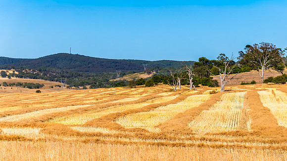 Goulburn Region - Explore the Picturesque Countryside of NSW