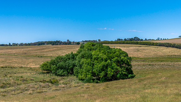 Summer Countryside Under a Clear Blue Morning Sky