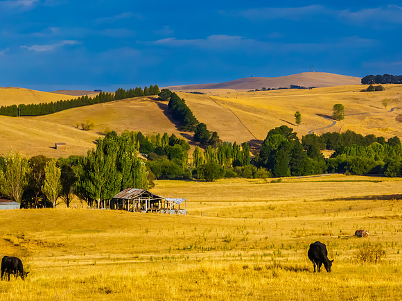 Cloud‑Laced Skies at Golden Hour Over Farmland