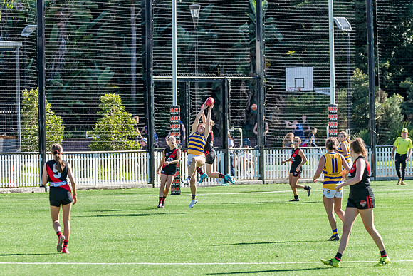 Rd 3 WPD - North Shore v Sydney Uni - 23 April 2022