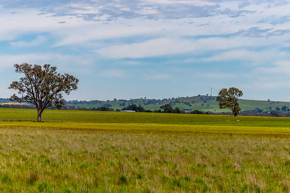 Riverina Countryside in Spring – Lush Fields Under Clouded Ski