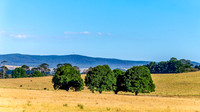 Goulburn Region - Explore the Picturesque Countryside of NSW