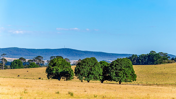 Goulburn Region - Explore the Picturesque Countryside of NSW