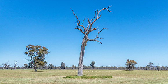 Rural countryside around Glenrowan in Victoria
