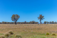 Rural countryside around Glenrowan in Victoria
