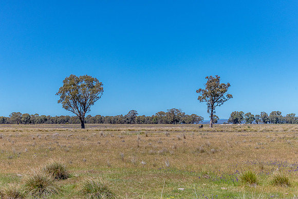 Rural countryside around Glenrowan in Victoria