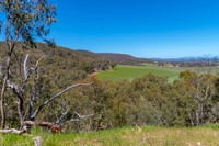 Rural countryside around Glenrowan in Victoria