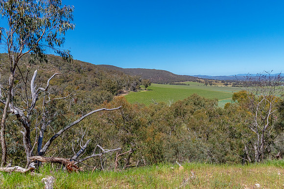 Rural countryside around Glenrowan in Victoria