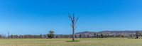 Rural countryside around Glenrowan in Victoria