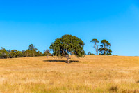 Goulburn Region - Explore the Picturesque Countryside of NSW
