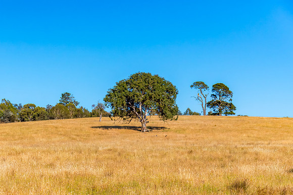 Goulburn Region - Explore the Picturesque Countryside of NSW